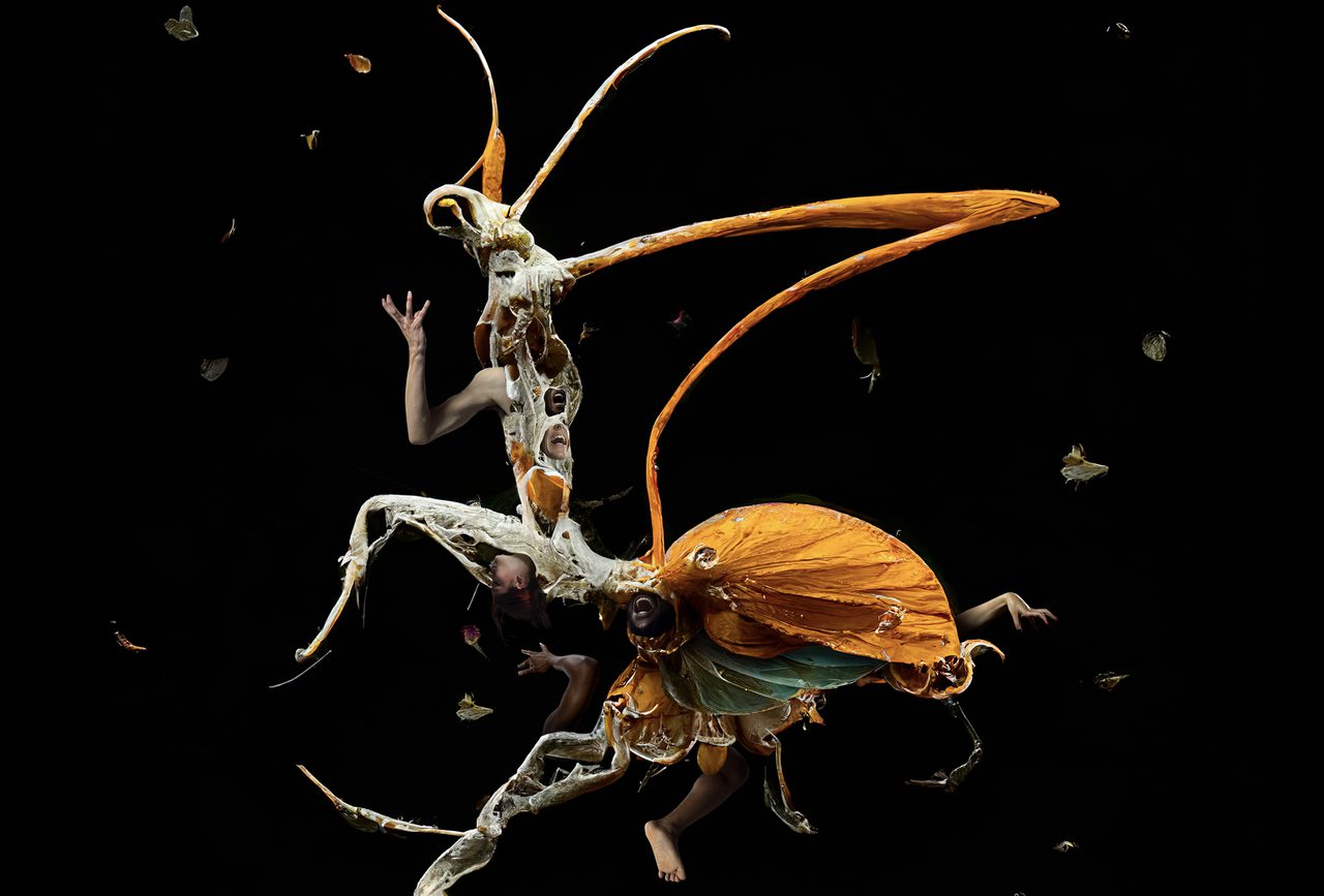 Metamorphosis | Frantic Assembly
