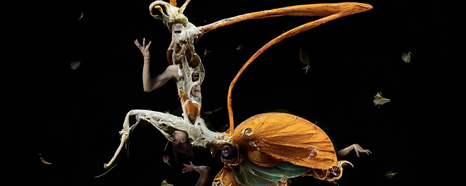 Metamorphosis | Frantic Assembly